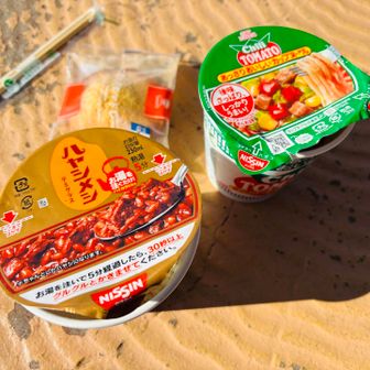東家のような休憩スペースでお昼ご飯をいただく
お腹も満たされ取り損ねたピークをピストンで無事回収しつつ下山⛰️

お疲れ山でした😋