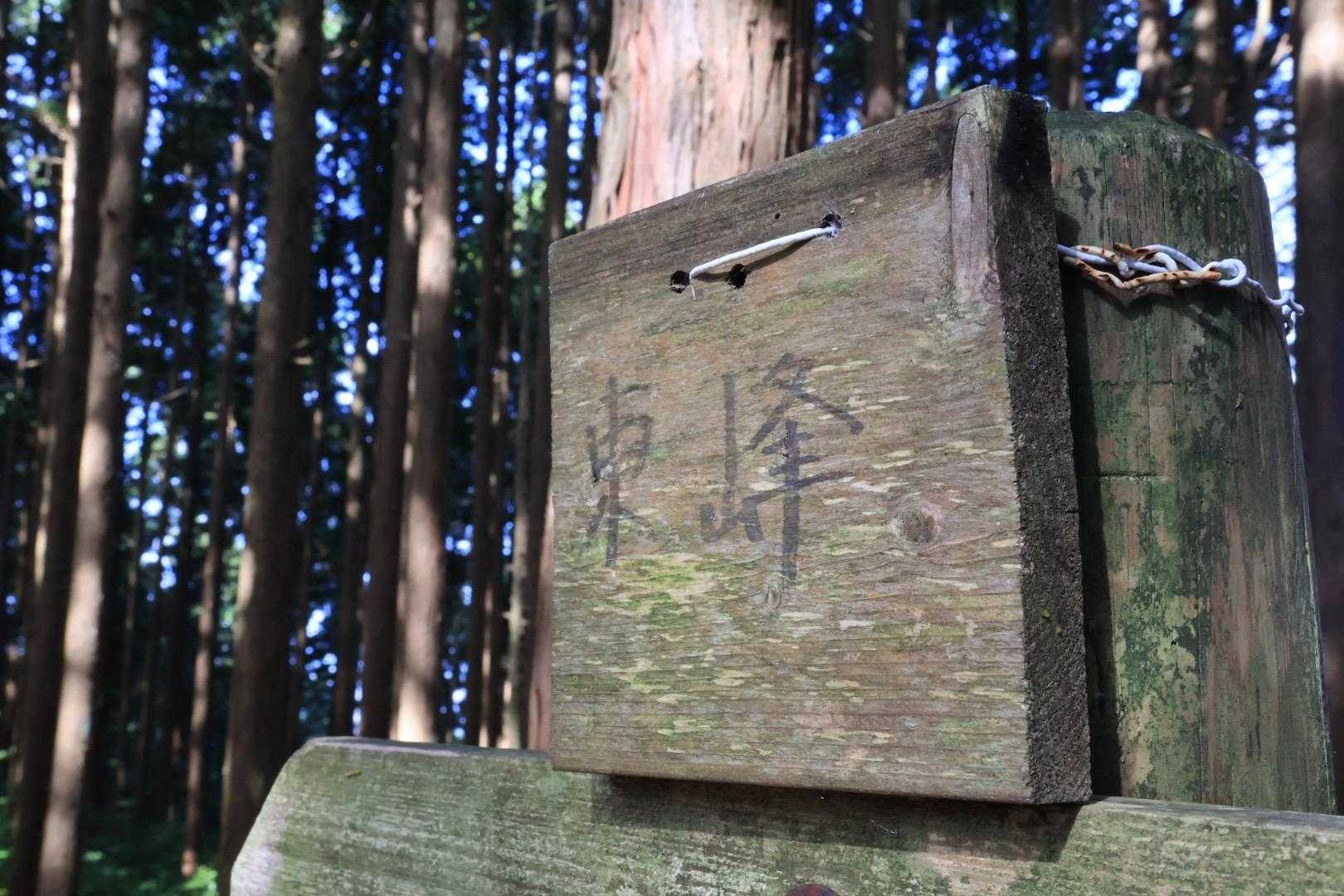ここもピークなんやな