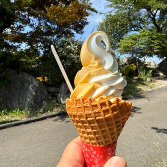 夏みかんミックスソフト　
美味しい😋