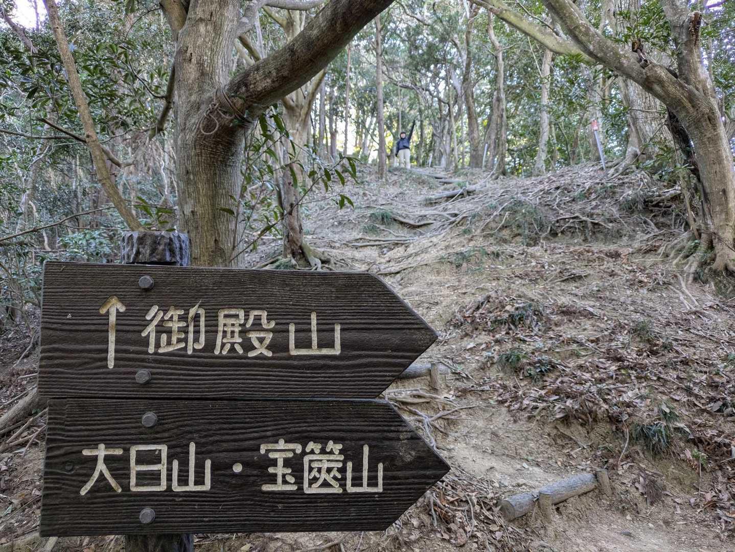 分岐
大日山方面→は巻き道っぽい
御殿山に登らなきゃ意味ないので真っ直ぐ↑進みます😤