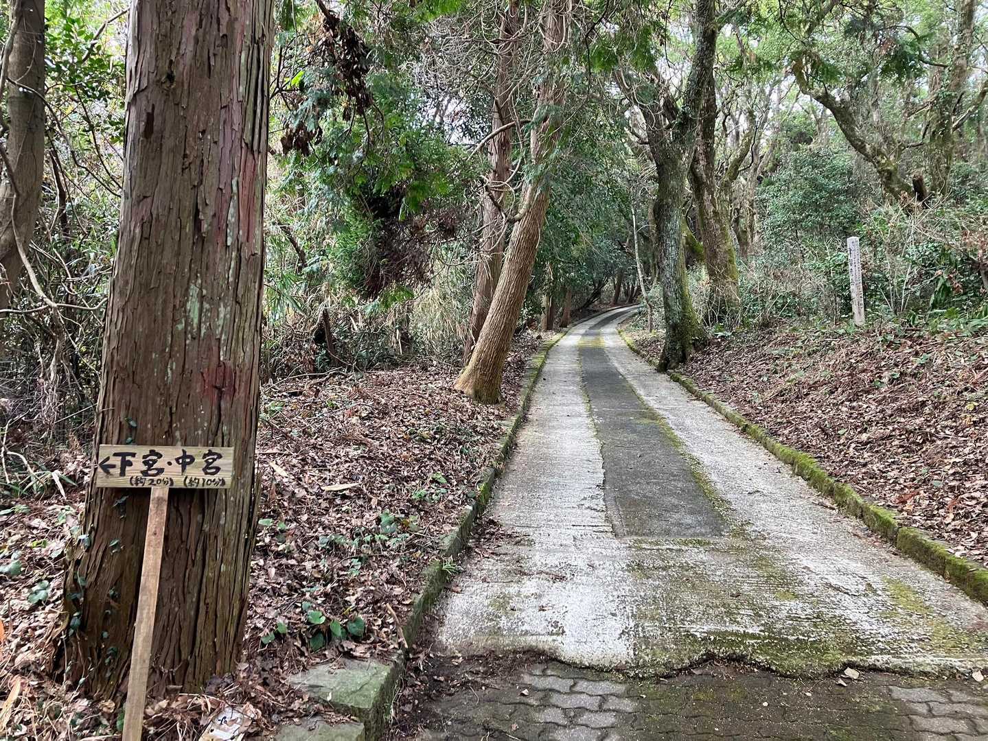 舗装路に出た！あと少しだー✊
ってとこで、んんん？お腹に違和感。あれ、トイレはさっき来る前に行ったやん。ちょっと冷や汗感じるイヤーなやつ。うう
