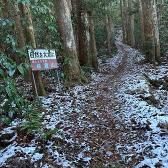 ほれほれ、雪でしょ？（しつこい）
まぁ、チェンスパなんていらないレベルですけどね😅