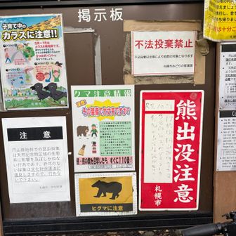 クマ🐻注意⚠️