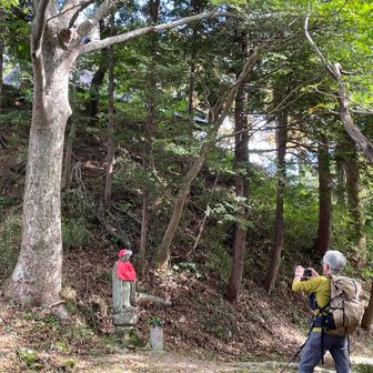 満願寺が見えてきた