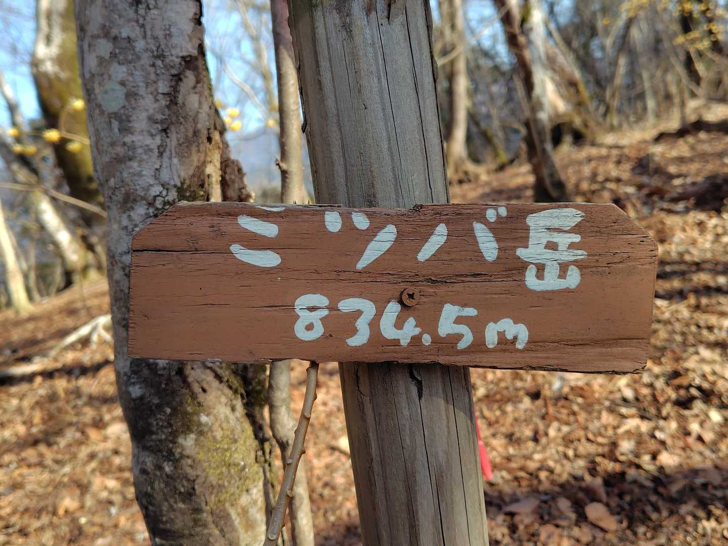 ミツバ岳登頂🌈午前7時54分・標高834m✨