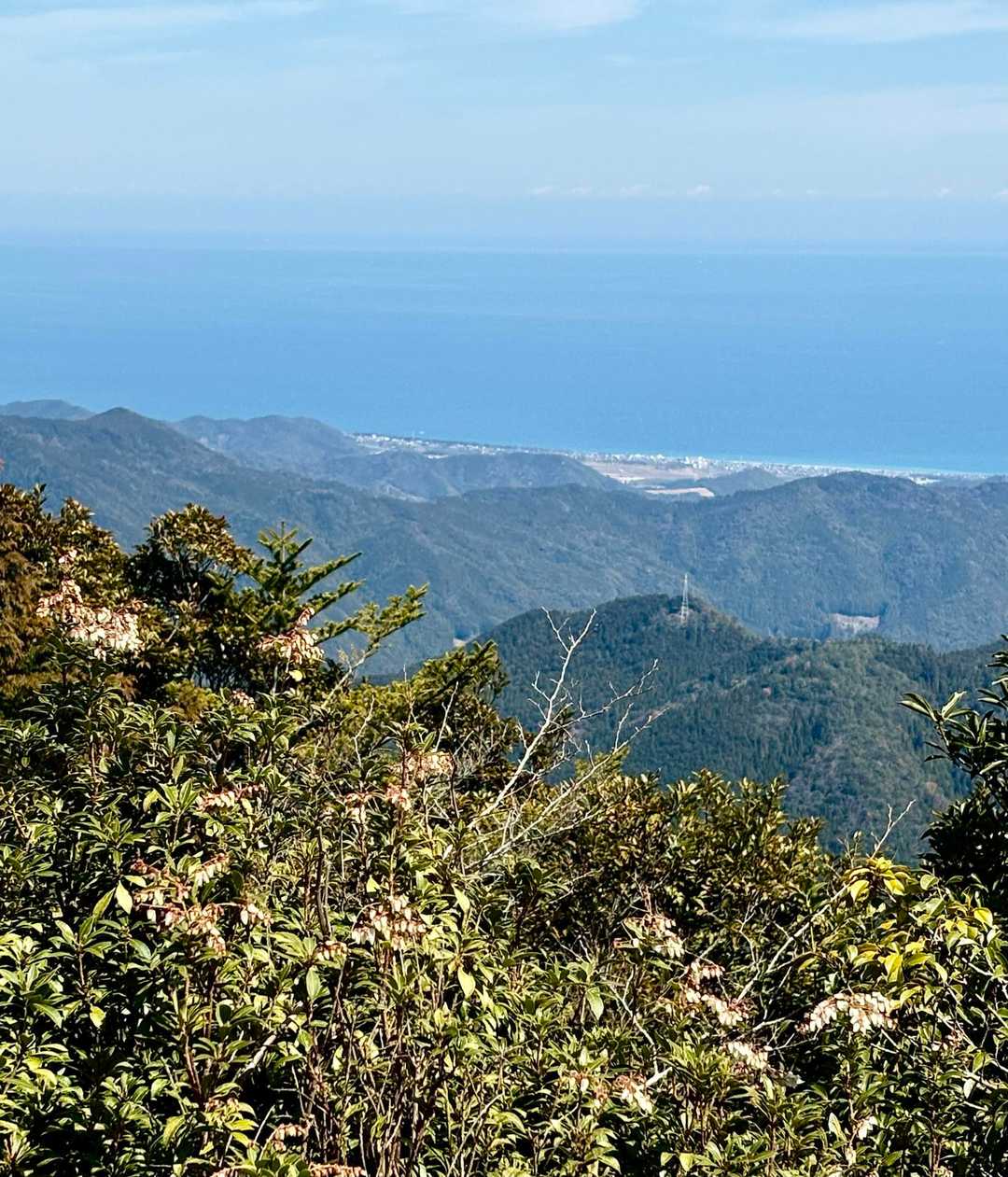 「青を編む」御浜町

と熊野灘が一望