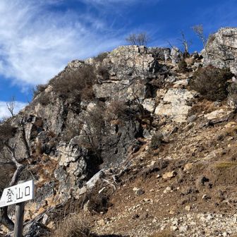 ｢登山口｣これは違うルート