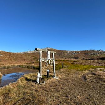 池もまだ凍ってない
だって暖かいもの！
