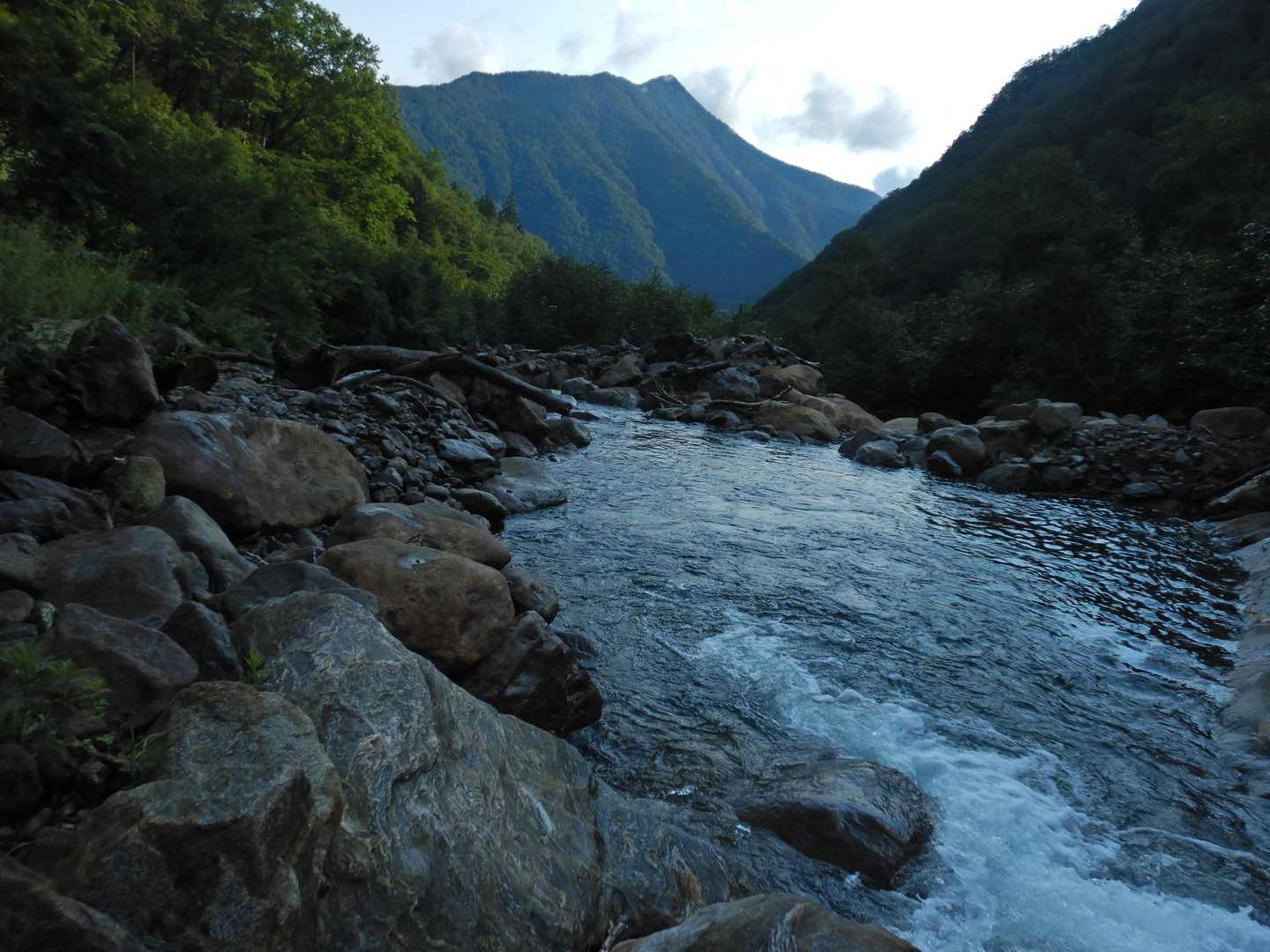 渡渉も楽しく感じてきました