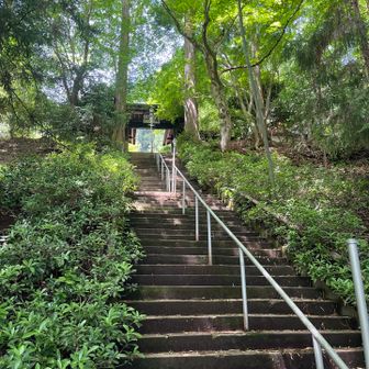 そして、この階段を登れば・・・