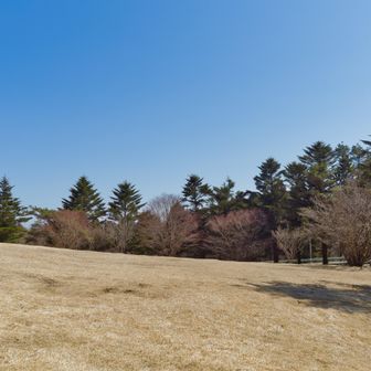 気持ちの良い青空☀
天狗棚山頂まで歩きます🐾