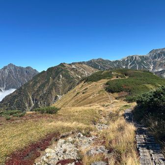 奥大日岳に向けて縦走します
