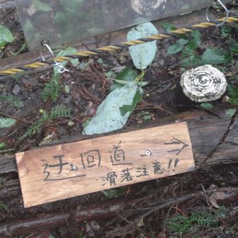 迂回路あってよかった、