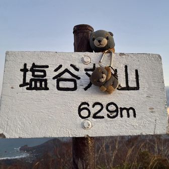 トウチョ🐶