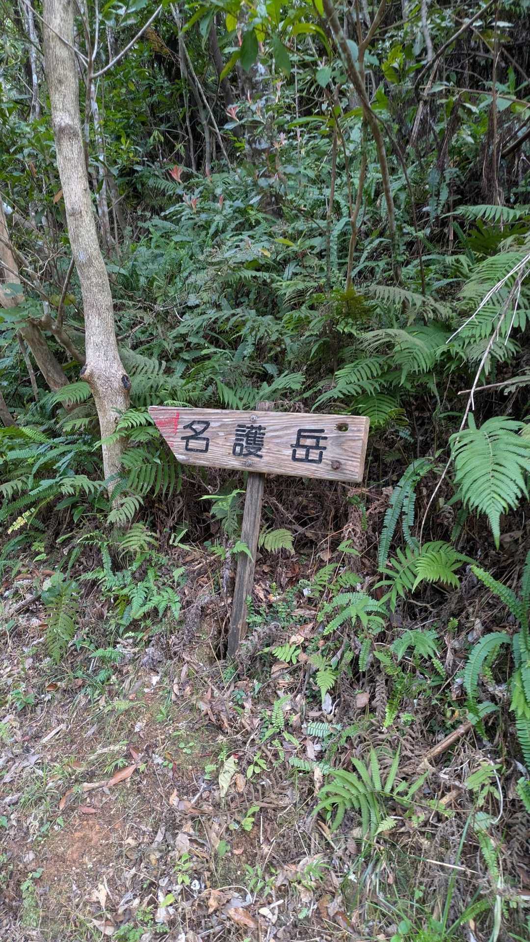 名護岳へ行きますよ😁
