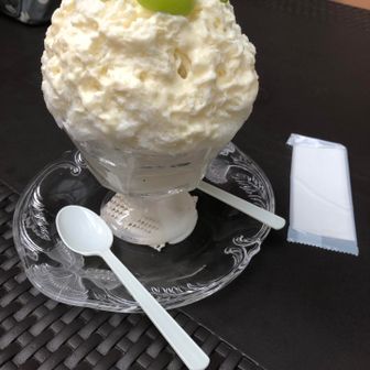歩く熊