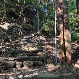 女坂なんだけどな。
下山で足に疲労が蓄積されてるせいかな？
娘っ子ビビり散らかして、なかなか降りてこれない🥹