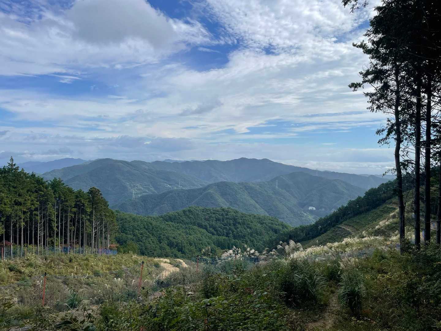 竜王山-竜王山 往復コースの写真