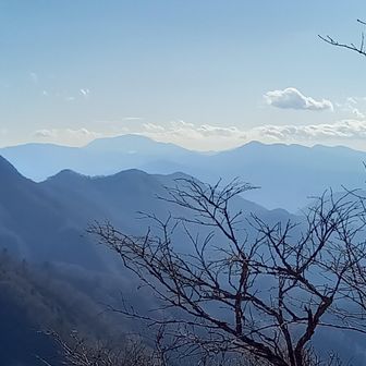 犬越路から。箱根が良く見えてる