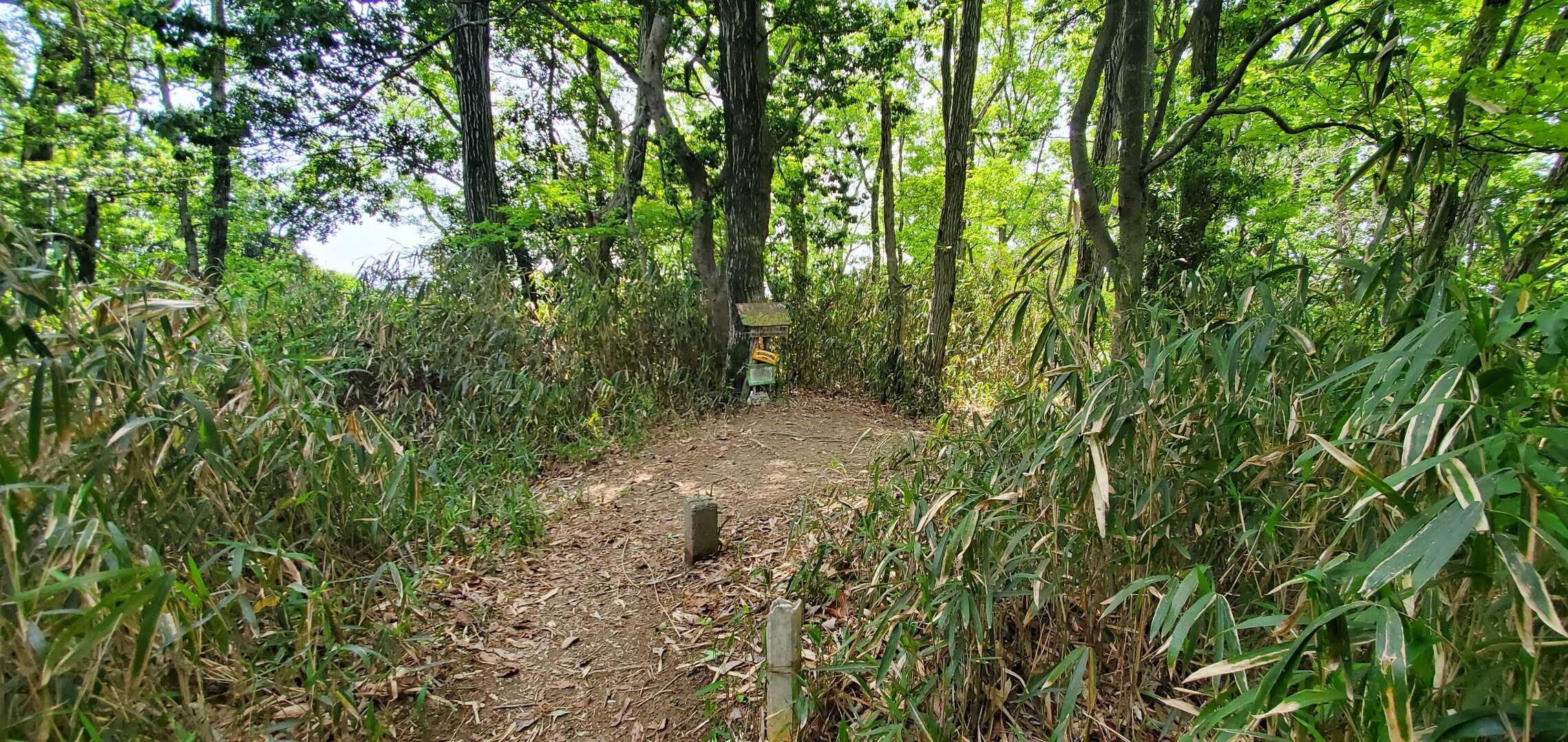 サンドイッチ山の写真