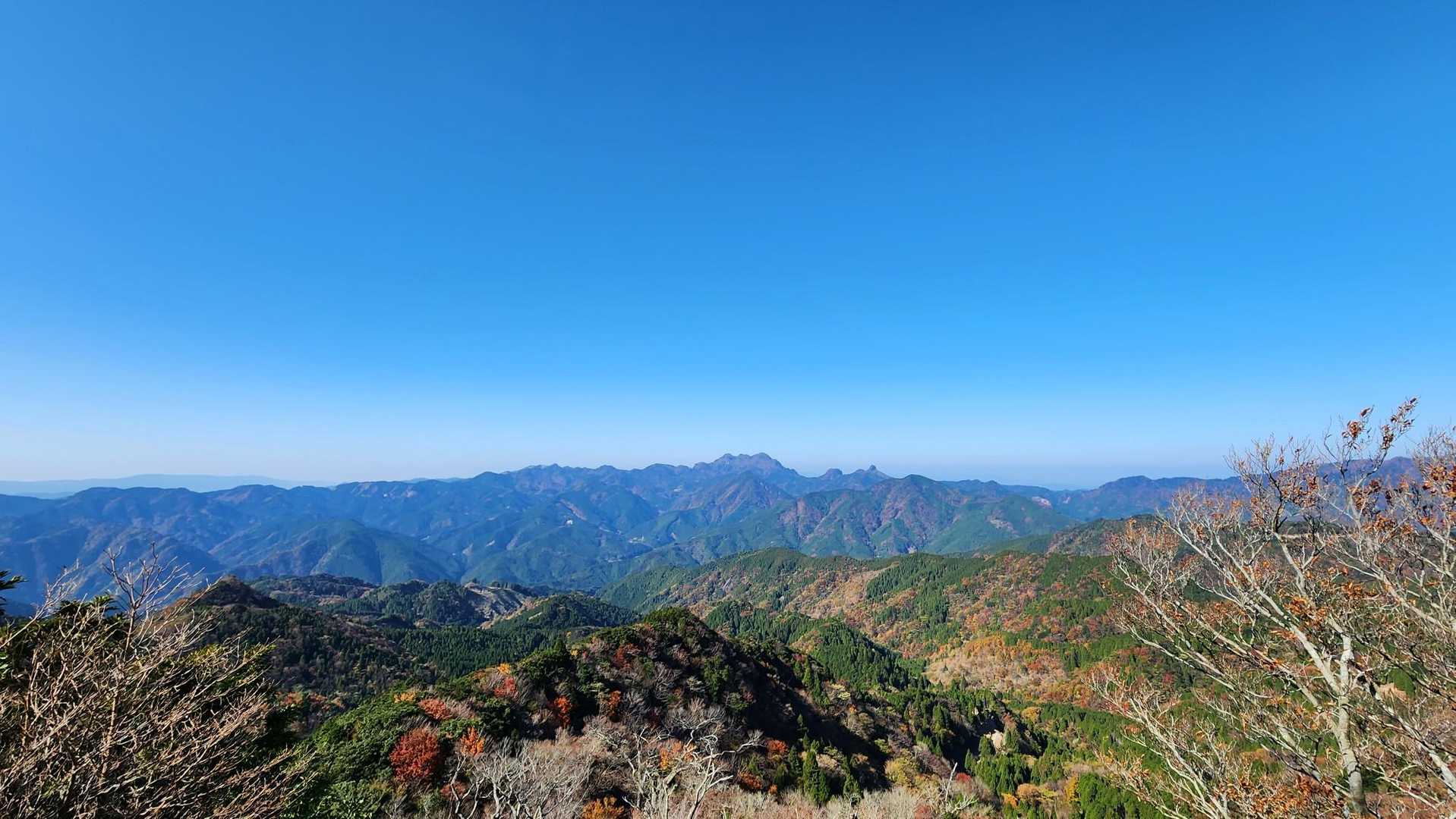 全景