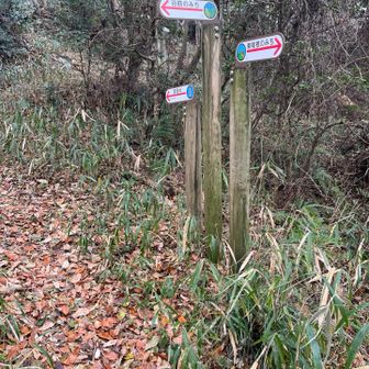 ここにもたくさんの案内