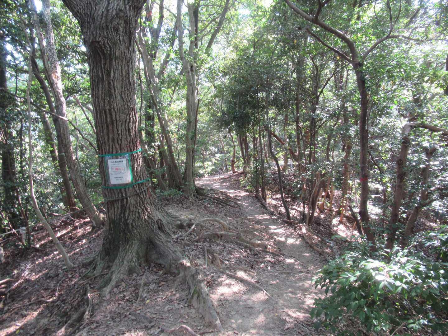 片縄山-糠塚山 往復コースの写真