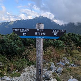 今年もお世話になります