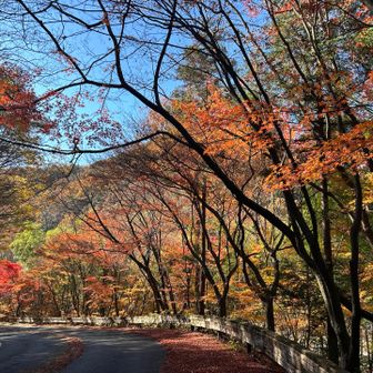 先週も同じアングルで撮ったんですが、紅葉が進んでてより美しくなってました❤️