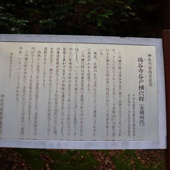 由来です。