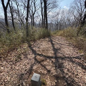山頂はこんな感じ