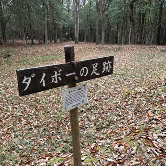 史蹟が次々とあらわれます
少し窪んだ場所、、身長140メートルの巨大なお坊さんの足跡とか