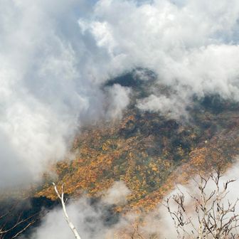 雲が抜けてくれれば…