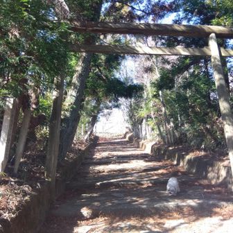 頂上の方へ、神社がある