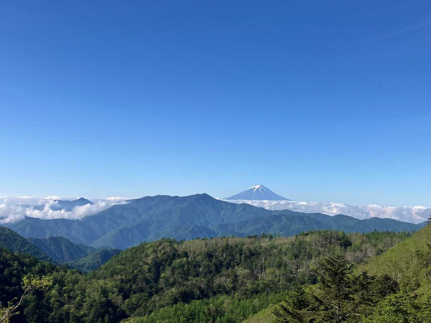 大菩薩峠、大菩薩嶺方面と🗻