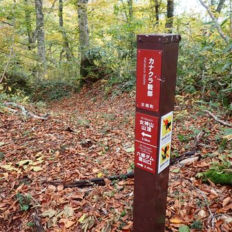 カナクラ鞍部着
標柱の左奥には土手森登山口からの道
