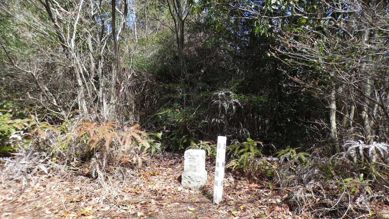 （中略）
鳴滝山山頂
三等三角点
基準点名：鳴滝山（なるたきやま）