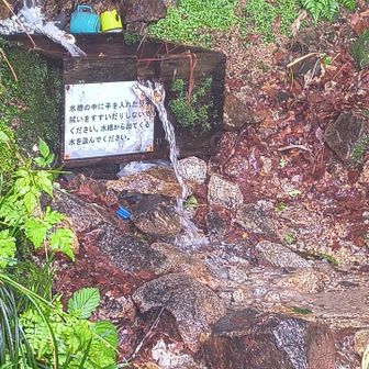 サイコーの水場