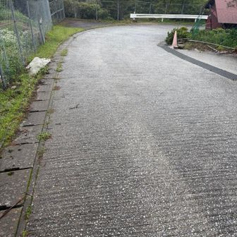 車道に戻って一安心😊
