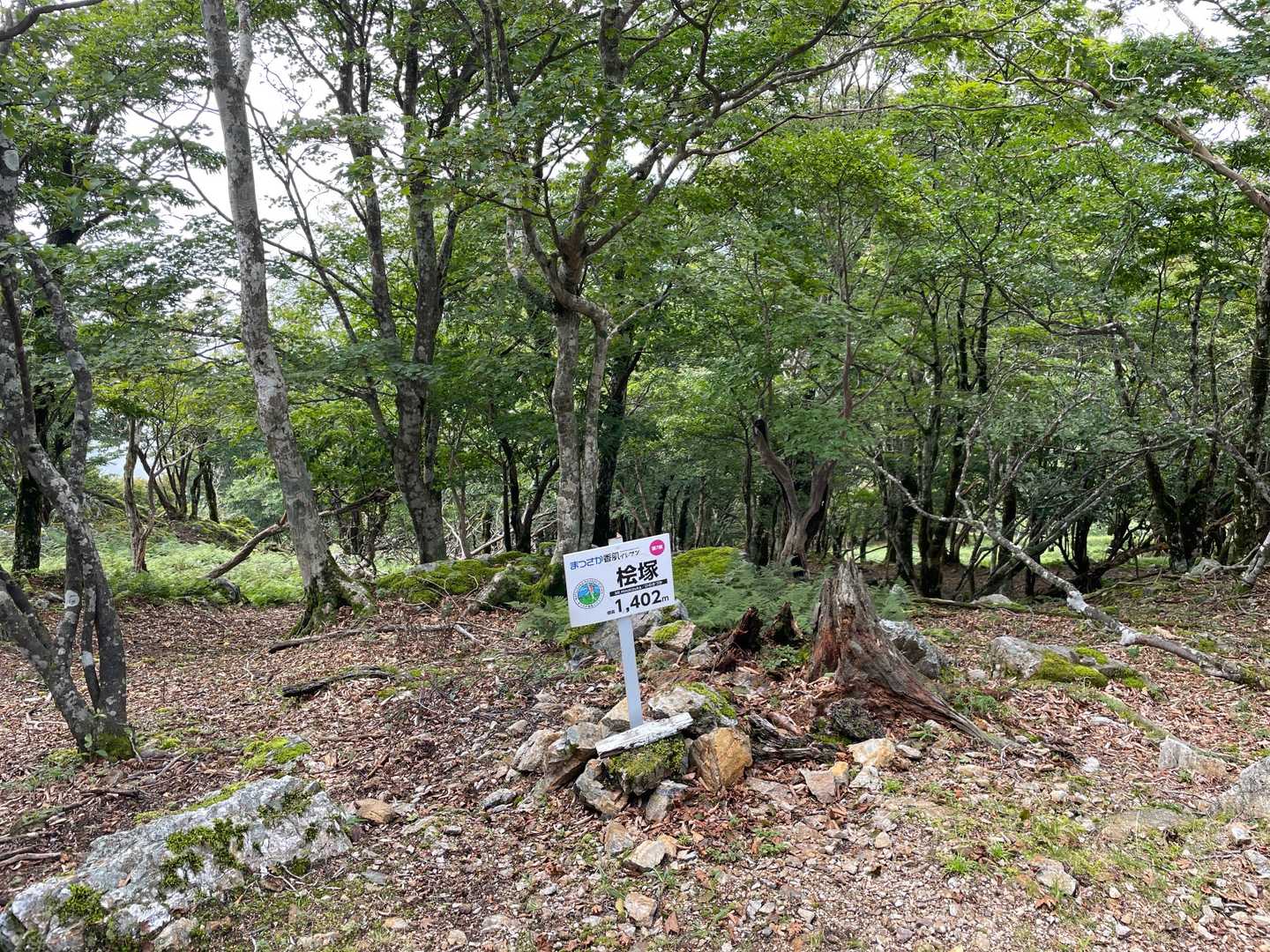 木屋谷雨量観測所-桧塚奥峰登山口-桧塚-桧塚奥峰-明神岳 往復コースの写真