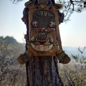 どんぐり山の猫バス😺