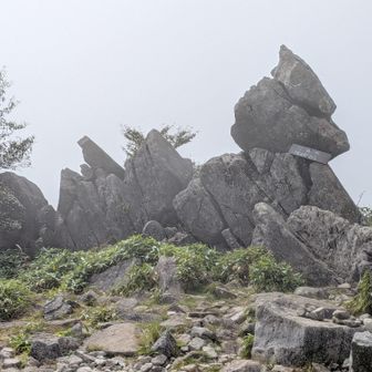歴史有りそうですね
もちろん、途中まで登りました😉