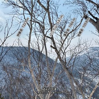 360°のパノラマビュー