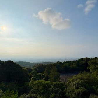 展望台から