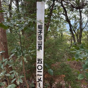 展望はありません。