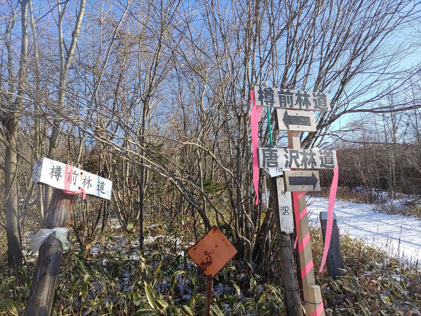 今日はですね、ちとやりたいことがあるのですよ。この最初の分岐のトコで、