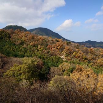 ゴロタ平からの景色