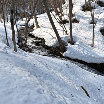 雪解け水で流れ良いよ