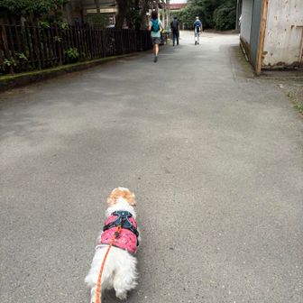 13:05 清滝駅