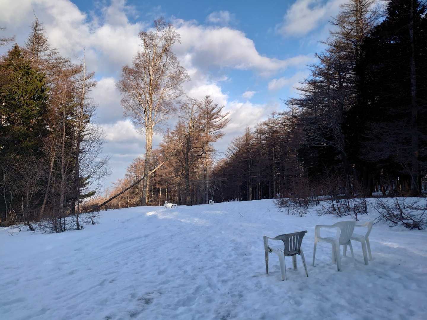 鶏頂山 往復コースの写真